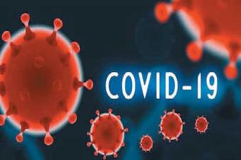 Son sutkada Azərbaycanda COVID-19 infeksiyasına 14 yoluxma faktı qeydə alınıb